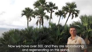 Restoring Round Island - Dr Nik Cole - Palm Community