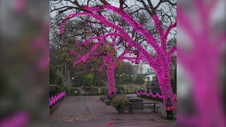 San Antonio Zoo getting ready for Zoo Lights