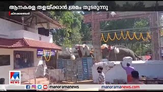 പാലക്കാട് ക്ഷേത്രത്തിലെ ഉൽസവത്തിനിടെ ആനകള്‍ ഇടഞ്ഞു | Palakkad |Temple |Elephant