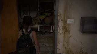 The Last of Us® Part II　エリーの変顔