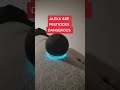 Alexa Are Pesticides Dangerous