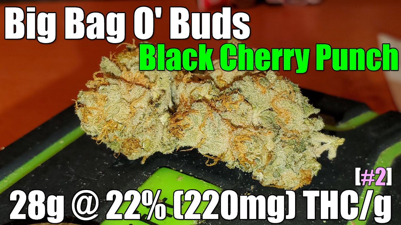 Big Bag O' Buds - Black Cherry Punch - Review - 28g @ 22% (220mg) THC/g ...