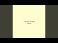 Tranquil Ocean