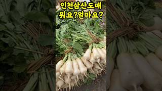 뭐지?난리났네! 김장전 필수시청! 도매가격 얼마? 레전드 사장님의 기막힌 행동! 영상무조건시청 안보면손해,👍#맛집여행#먹방 #전통시장투어#김장#고추시세#경동시장#인천삼산도매시장