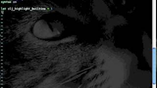 VimClojure Setup