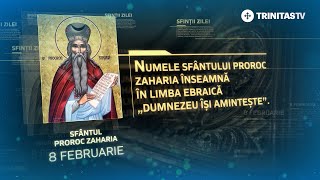 Sfântul Proroc Zaharia – 8 februarie #Sinaxar