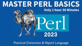 Master PERL BASICS Fast! - EASY & FUN - COMPILATION Tutorial 2023