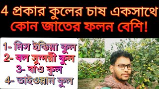 কোন জাতের কুল চাষ করা লাভজনক ।। কার ফলন সবথেকে বেশি ।। 4 প্রকার কুল একসঙ্গে চাষ ।।