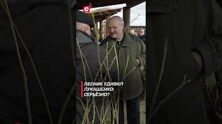 Лесник удивил Лукашенко: Серьёзно? (Архив) #беларусь #лукашенко #политика #президент