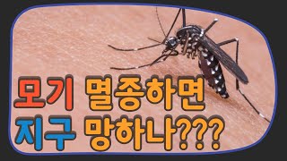 모기가 멸종하면 지구에 일어나는 일