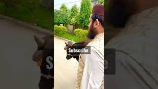 Allah Pak Qurbani Qubool Famaien || Hafiz Ahmed Raza Qadri