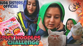 New Challenge Video | Spicy Noodles Challenge + Cats Vlog | Huda Sisters Official