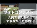 2024フォトコンテスト　入賞できたものできなかったもの