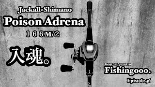 Jackall×Shimano Poison Adrena 166M-2 入魂！！　ターポンも釣れたよ。