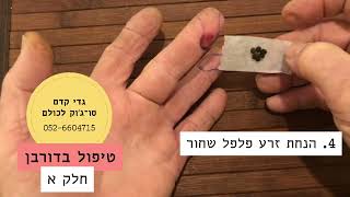 טיפול עצמי בדורבן - גדי קדם סוג'וק לכולם sujok