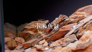 [4K]還是別用小米魚缸吧？順便造個新手溪流景吧