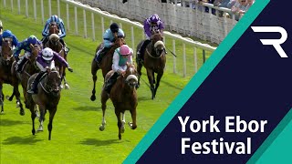 Frankel colt CHALDEAN digs deep for Acomb Stakes success at York - Racing TV