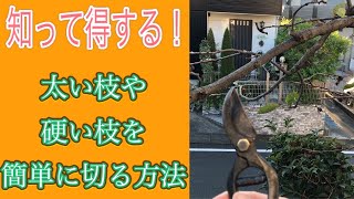 知って得する！太い枝や硬い枝が簡単に切れる方法