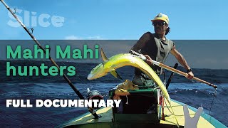 Mahi Mahi hunters I SLICE I Full documentary