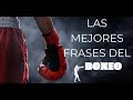 Las mejores frases de boxeo