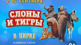 Переход с Телекон Плюс на Домашний (Нижний Тагил) (15.09.2018)