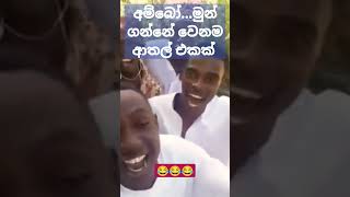 මුන් ගන්නේ වෙනමම ආතල් එකක් ෂාරුක් ඛාන්ගෙන් 😂😂😂 #sharukhkhan #diltopagalhai #Bholi_Si_Surat