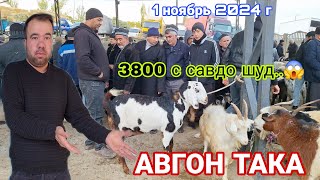 ИСТАРАВШАН ! АВГОН ТАКА ДАРОМАД ХАММА ХАЙРОН