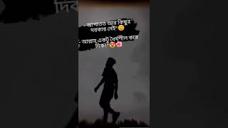 আপাতত আর কিছুর দরকার নেই