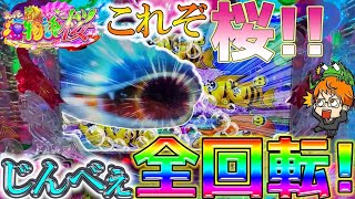 【遊650連】Pスーパー海物語IN沖縄5 桜 満開319!沖海5には無いじんべえみ～つけた！桜のST全て魅せます！！コンちゃんの海遊録#663