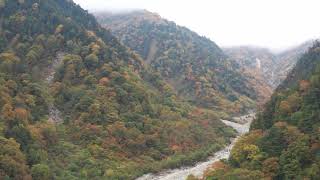 扇沢の美しい紅葉　長野県大町市（ドローンによる空撮）