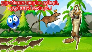 துறவியாக மாறிய நரியும், புத்திசாலி எலியும் | moral story in tamil #tamilkadhaigal #moralstory #toonz