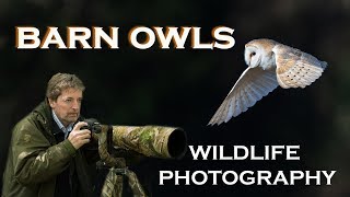 WILDLIFE PHOTOGRAPHY: BARN OWLS: Part One