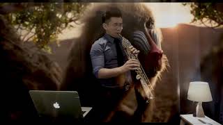 Can you feel the love tonight Saxophone Cover (Lion King)
