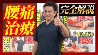 【全治療家必見】超有料級！症状別に腰痛治療の解剖学から運動療法まで徹底解説します！