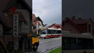 |MPK Nowy Sącz|Solbus SM12 #261 Linia 35 kierunek Bulwar Narwiku-Dworzec MPK(25.03.24r)