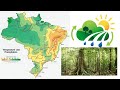 Landschap, klimaat en vegetatie van Brazilië