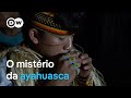 Por que tem tanta gente tomando ayahuasca no Brasil? | Documentário