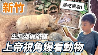 【親子週末渡假推薦】六福莊渡假村樂趣無限！水豚君、犀牛、斑馬同樂的親子遊戲懶人包！週末家庭活動完整指南！