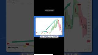 Altcoins All Pump The Same Here S Why