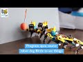 Open Source Robot Dog Bittle Detect And React to The Things | Example Red Ball