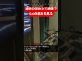 【apex】過去の初めたて映像でエイムアシスト0.6の暴力を見る【エーペックス】 apex apexlegends ゲーム エーペックス エイペックスレジェンズ エイペックス ワットソン