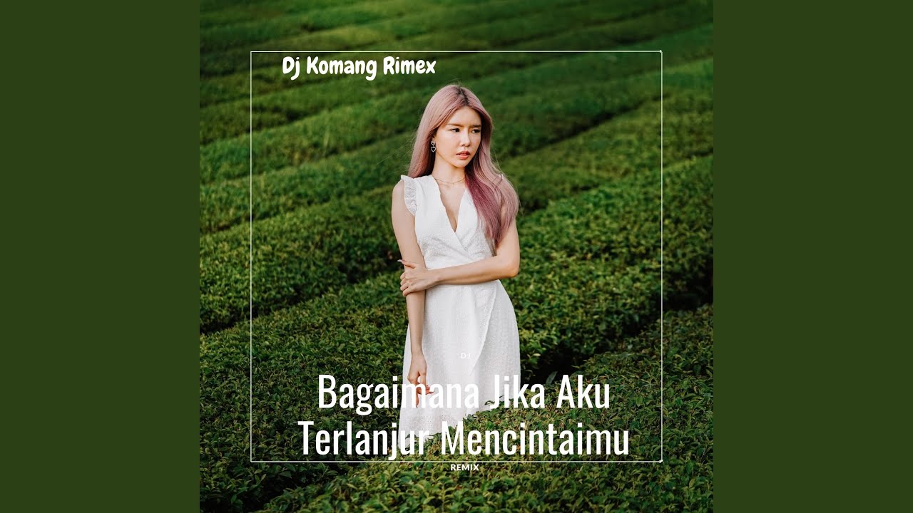 Bagaimana Jika Aku Terlanjur Mencintaimu (Remix) - YouTube Music