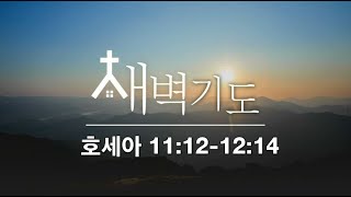 [포항큰숲교회] 24.12.1 새벽기도회