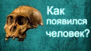 Как появился первый человек? | Первый человек на земле. Как появились первые люди? Первый человек.