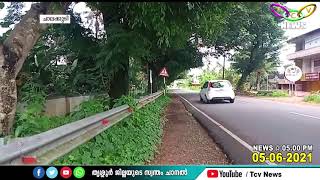 ചാലക്കുടി റെയില്‍വേ സ്റ്റേഷന്‍ റോഡിലെ മുത്തശി പ്ലാവുകള്‍  | TCV