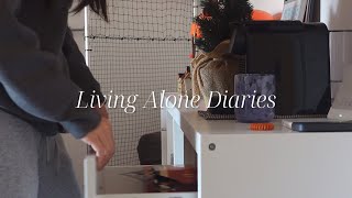 New year start with positive vibes, cooking at home, playing badminton | Living Alone Diaries | vlog