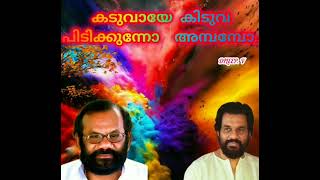 Kaduvaye kiduva pidikkunno കടുവായേ കിടുവ പിടിക്കുന്നോ  അമ്പമ്പോ(Dileep. v)