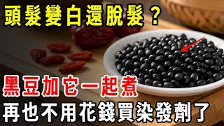 頭髮變白還脫髮？黑豆加它一起煮，喝一碗白發一夜變黑！效果驚人，再也不用花錢買染發劑了【養生1+1】#健康常識#養生保健#健康#健康飲食