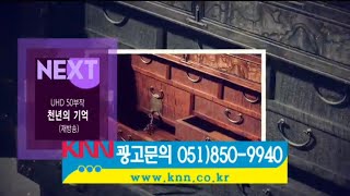 KNN NEXT - UHD 50부작 천년의 기억 (재방송)