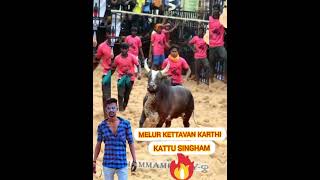 melur kettavan Karthi kattu singham